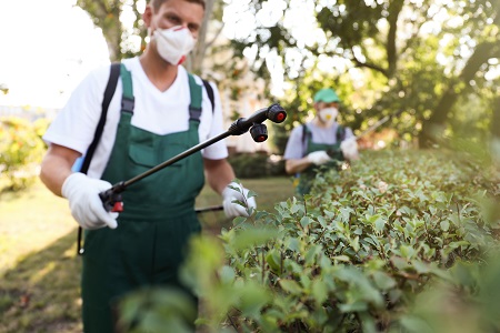 tick exterminator dallas